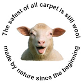 Sheep For Home Page